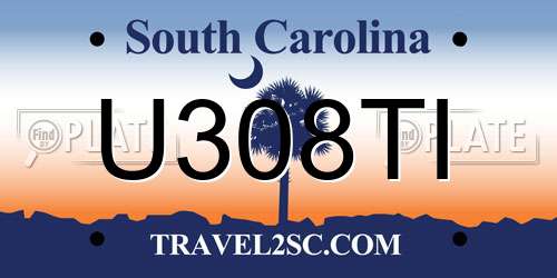 U308TI South Carolina License Plate