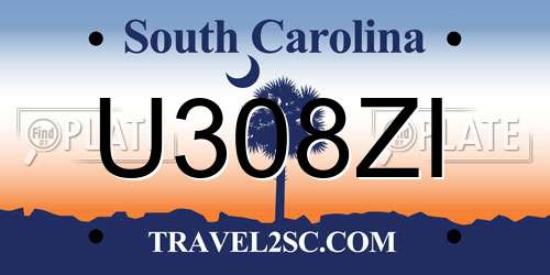 U308ZI South Carolina License Plate