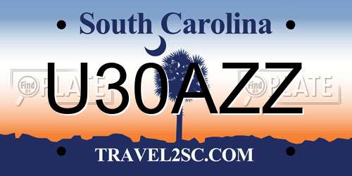 U30AZZ South Carolina License Plate