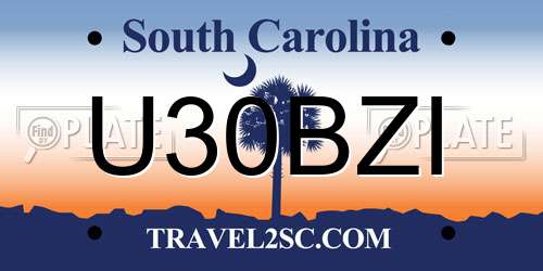 U30BZI South Carolina License Plate