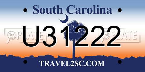 U31222 South Carolina License Plate