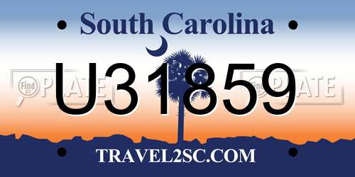 U31859 South Carolina License Plate