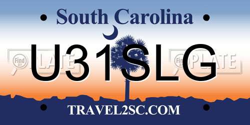 U31SLG South Carolina License Plate