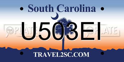 U503EI South Carolina License Plate