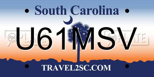 U61MSV South Carolina License Plate