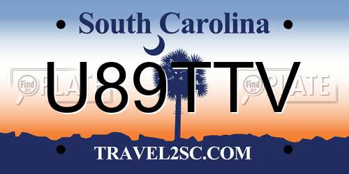 U89TTV South Carolina License Plate