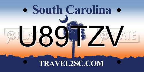 U89TZV South Carolina License Plate