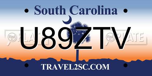 U89ZTV South Carolina License Plate