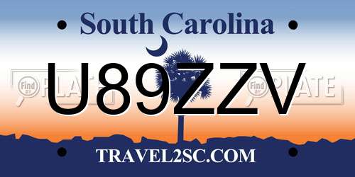 U89ZZV South Carolina License Plate