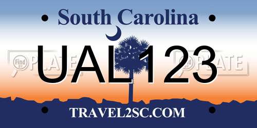 UAL123 South Carolina License Plate