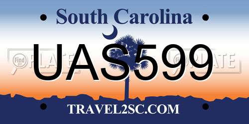 UAS599 South Carolina License Plate