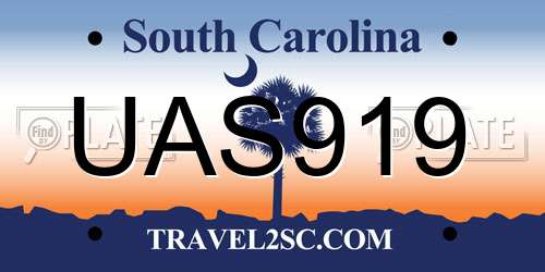 UAS919 South Carolina License Plate
