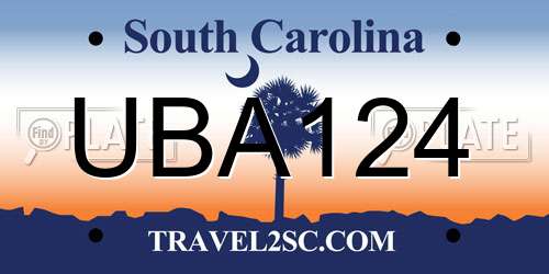 UBA124 South Carolina License Plate