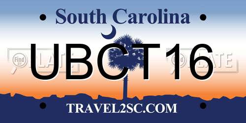 UBCT16 South Carolina License Plate