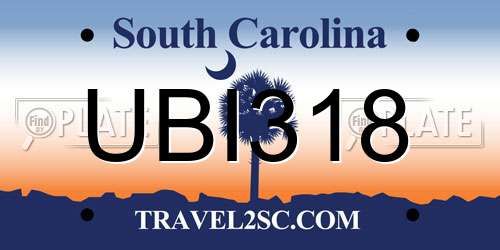 UBI318 South Carolina License Plate