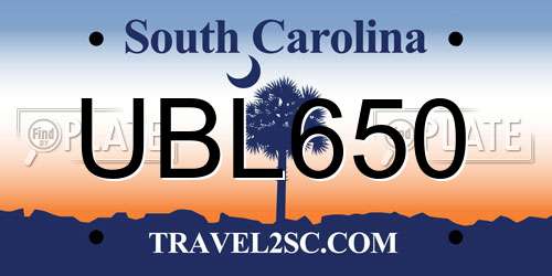 UBL650 South Carolina License Plate