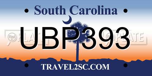 UBP393 South Carolina License Plate