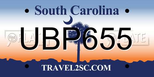 UBP655 South Carolina License Plate