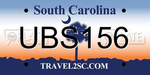 UBS156 South Carolina License Plate