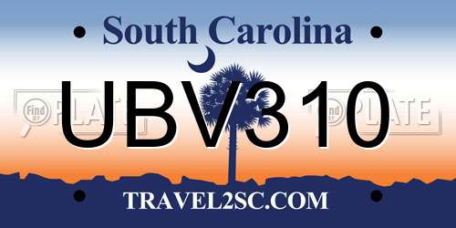 UBV310 South Carolina License Plate