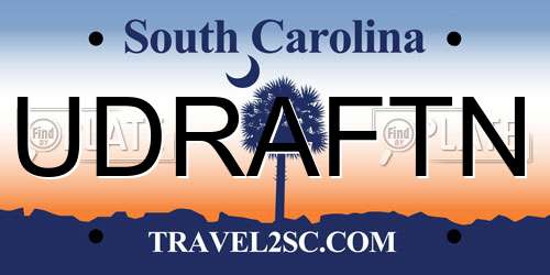 UDRAFTN South Carolina License Plate