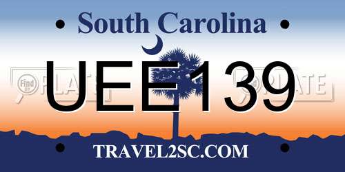 UEE139 South Carolina License Plate