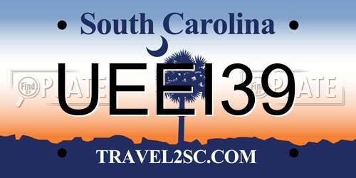 UEEI39 South Carolina License Plate