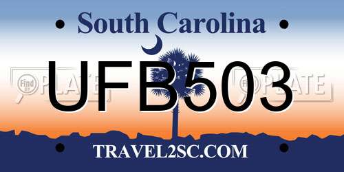UFB503 South Carolina License Plate