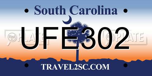 UFE302 South Carolina License Plate
