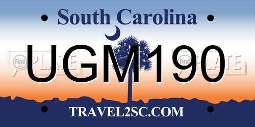 UGM190 South Carolina License Plate