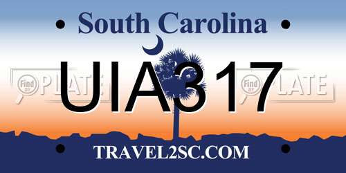 UIA317 South Carolina License Plate