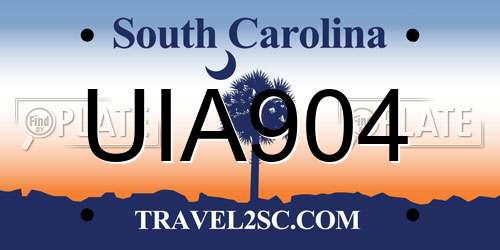 UIA904 South Carolina License Plate