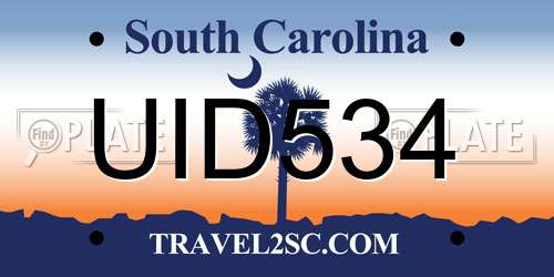 UID534 South Carolina License Plate