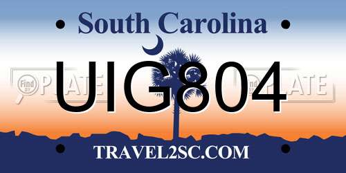 UIG804 South Carolina License Plate