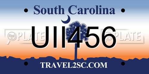 UII456 South Carolina License Plate