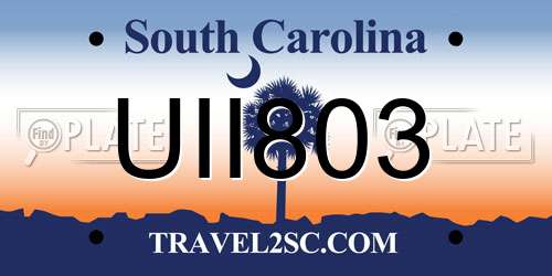UII803 South Carolina License Plate