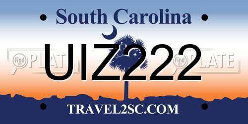 UIZ222 South Carolina License Plate