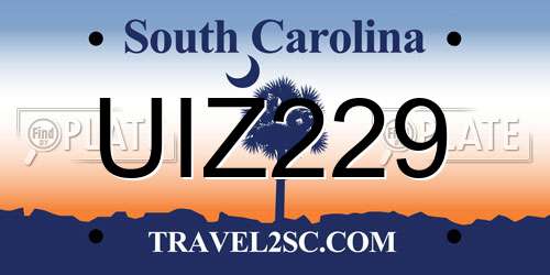 UIZ229 South Carolina License Plate