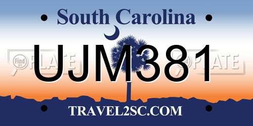 UJM381 South Carolina License Plate
