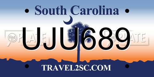 UJU689 South Carolina License Plate