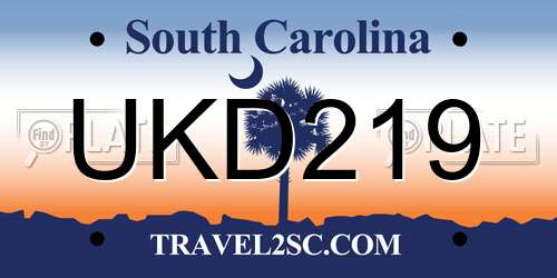UKD219 South Carolina License Plate