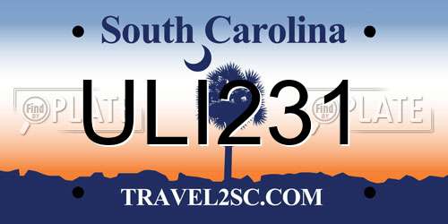 ULI231 South Carolina License Plate