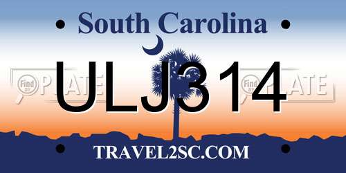 ULJ314 South Carolina License Plate