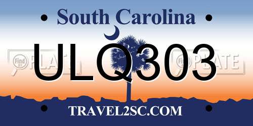 ULQ303 South Carolina License Plate