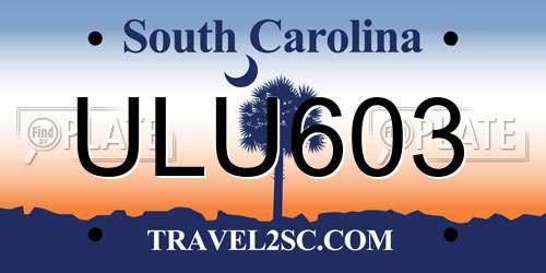 ULU603 South Carolina License Plate
