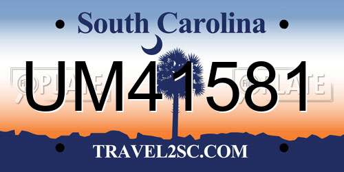 UM41581 South Carolina License Plate
