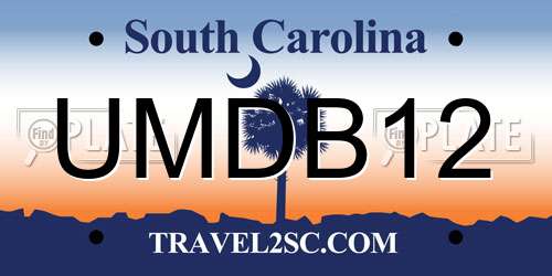 UMDB12 South Carolina License Plate