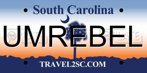 UMREBEL South Carolina License Plate