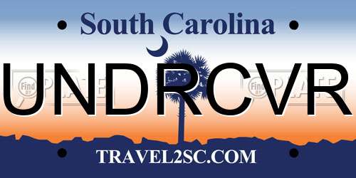 UNDRCVR South Carolina License Plate