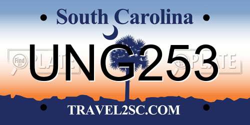 UNG253 South Carolina License Plate